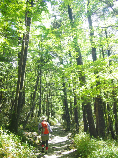 b0244811_2261784.jpg