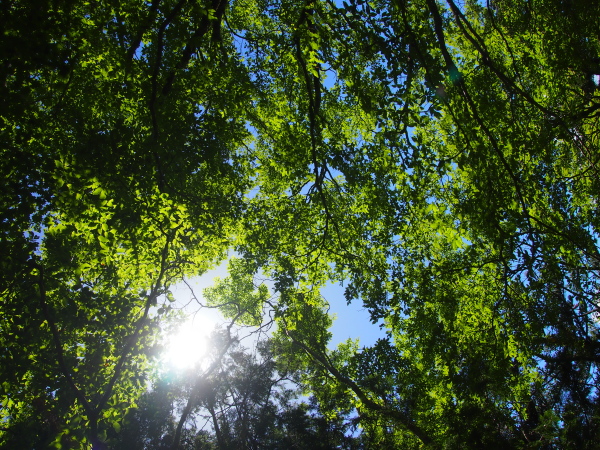 b0244811_2264073.jpg