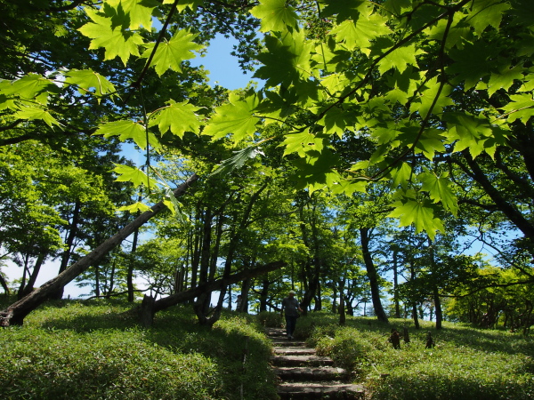 b0244811_2272142.jpg