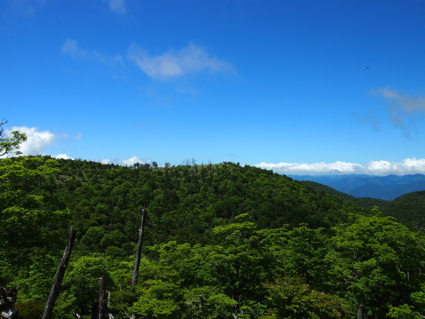 b0244811_228856.jpg