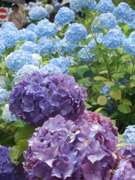 c0062511_0942100.jpg