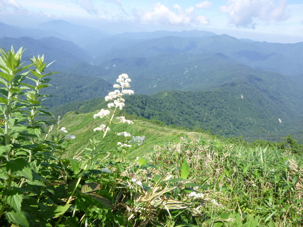 d0170615_1147561.jpg
