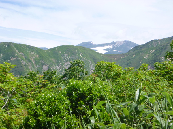 d0170615_11483980.jpg