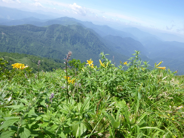 d0170615_1149160.jpg