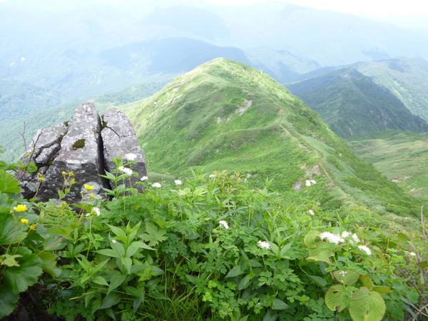d0170615_1149207.jpg