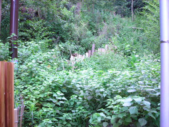 b0096418_18293585.jpg