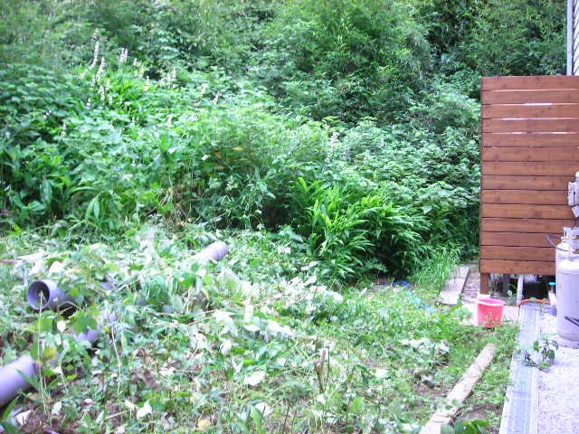 b0096418_1831011.jpg