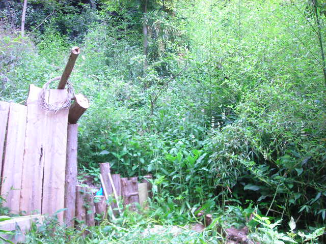 b0096418_1832091.jpg