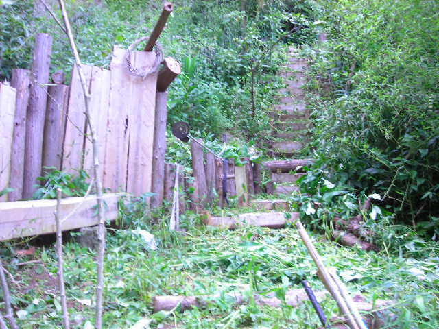 b0096418_18331259.jpg