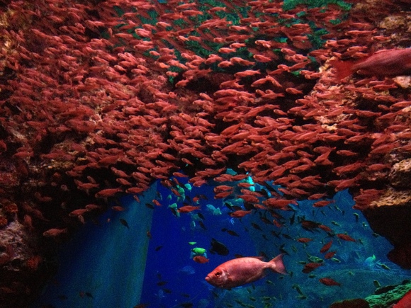 c0020320_17532255.jpg