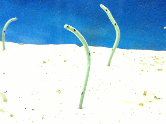 c0020320_1753237.jpg