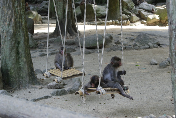 c0020320_1755727.jpg