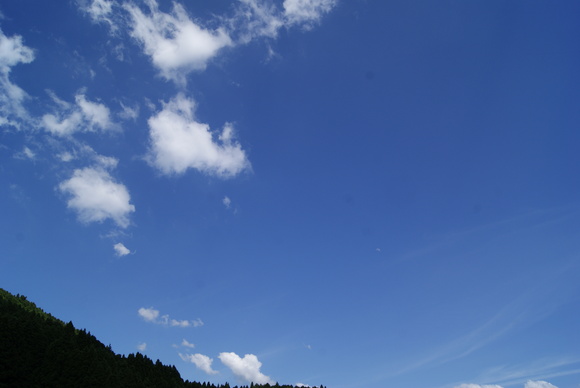 c0020320_1802218.jpg