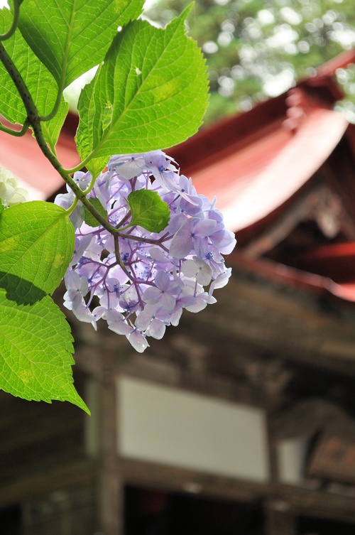 a0248728_0265627.jpg