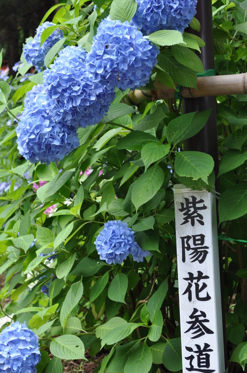 a0248728_034865.jpg