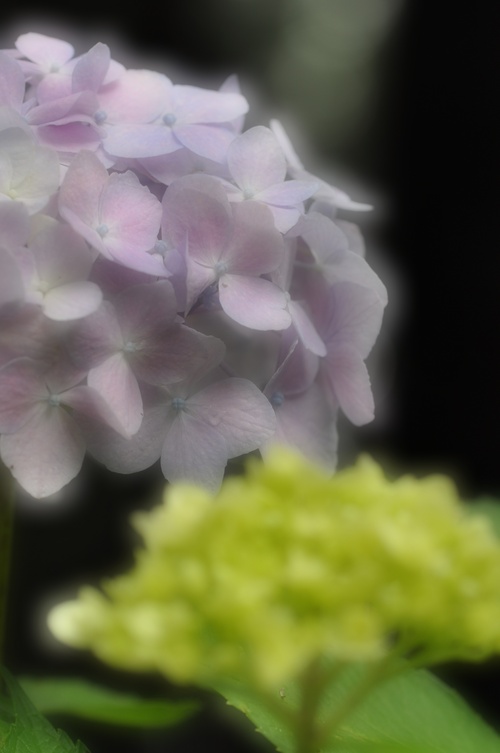 a0248728_050516.jpg