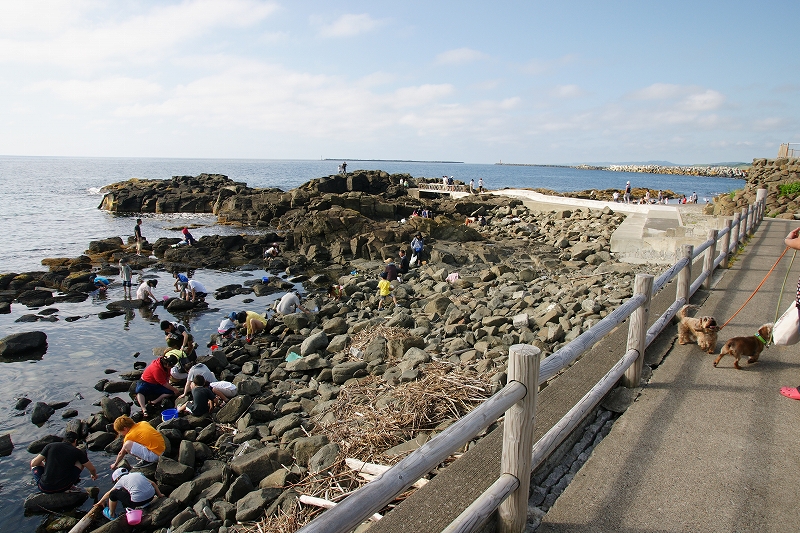 f0046128_19244312.jpg