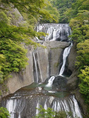 f0165831_901879.jpg