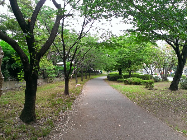 b0170134_19103936.jpg