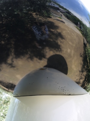 e0325038_2282514.jpg