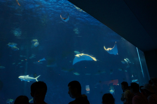 a0135840_952331.jpg