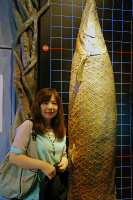 a0135840_9573965.jpg