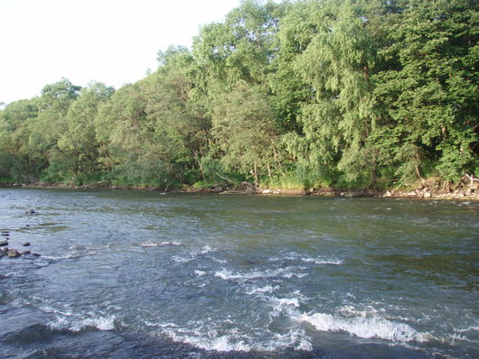 b0072541_024567.jpg