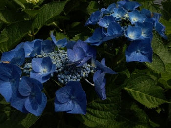 b0234545_1114563.jpg