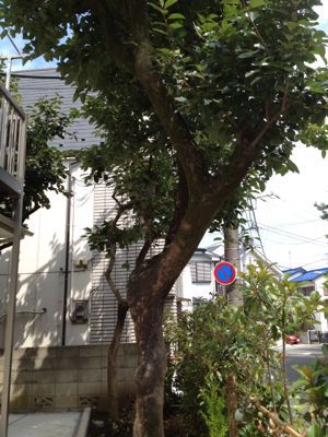 c0206645_1840857.jpg