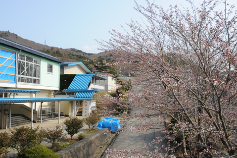 f0044846_19461482.jpg