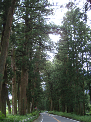 e0217950_2593282.jpg
