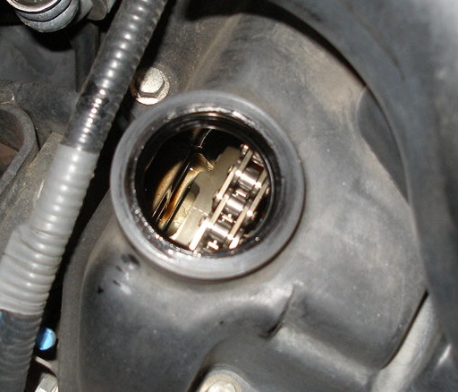 c0037553_683611.jpg