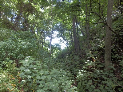 e0004756_21134163.jpg
