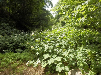 e0004756_21142581.jpg