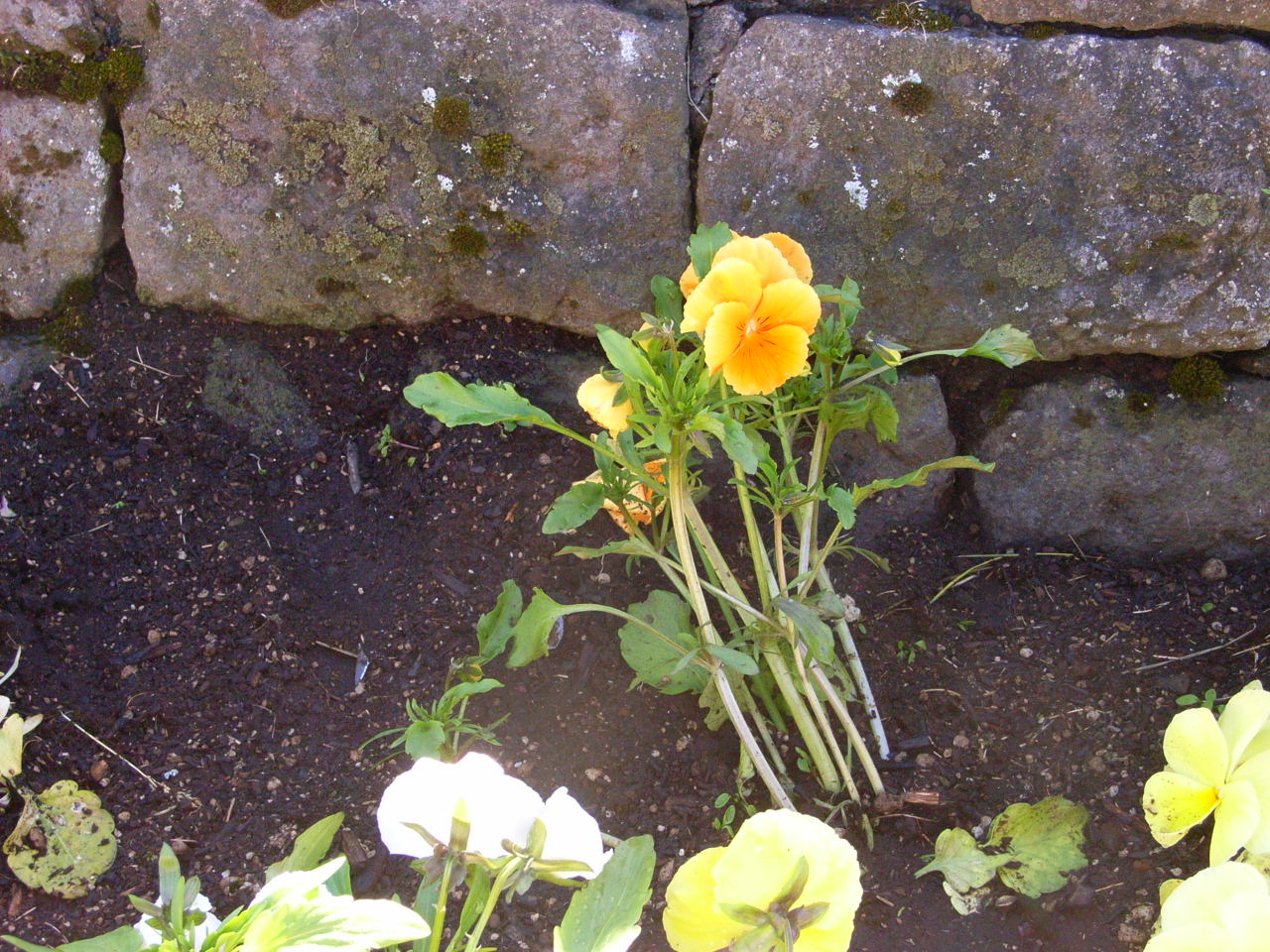 f0257756_6184081.jpg