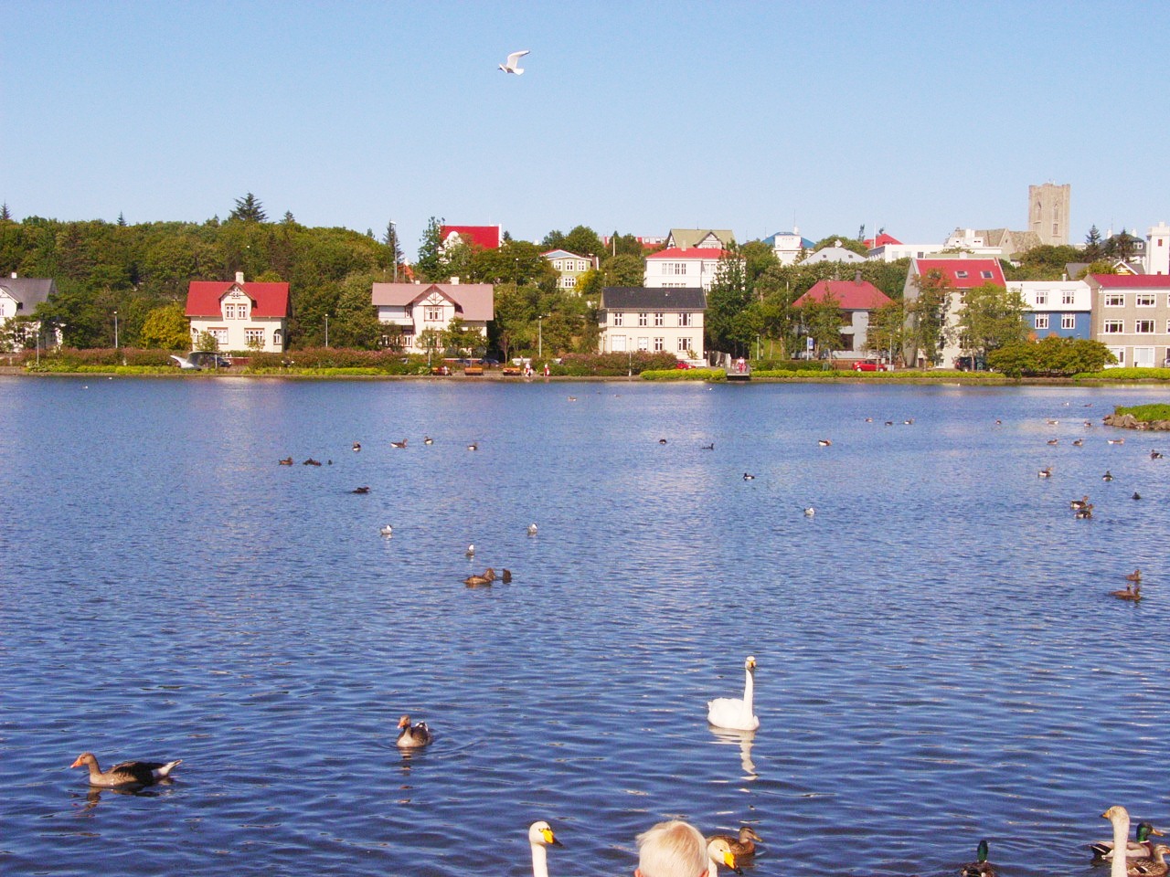 f0257756_66571.jpg