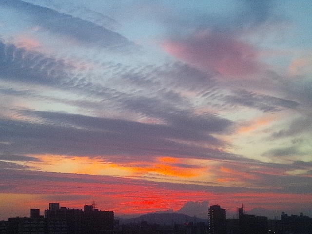 b0253057_64114.jpg