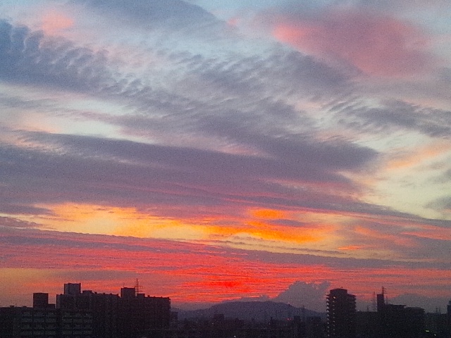 b0253057_645898.jpg