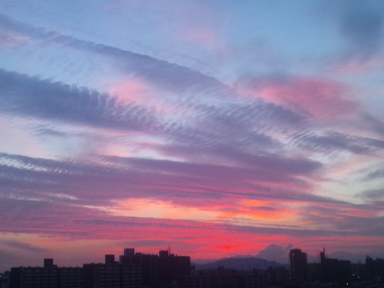 b0253057_682452.jpg
