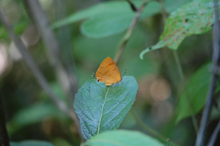 b0167762_1484524.jpg