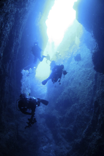 b0062363_8295784.jpg