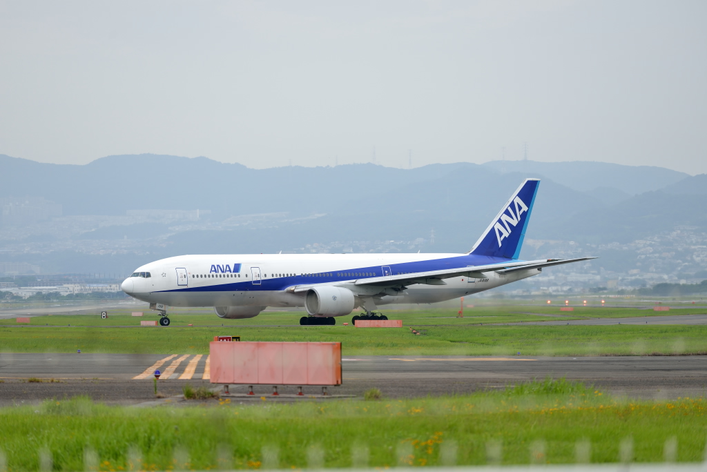 a0301676_8411951.jpg