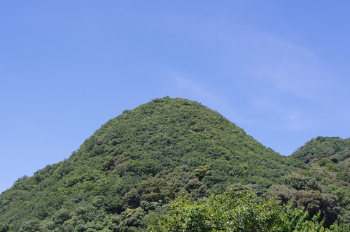 f0054677_1023506.jpg