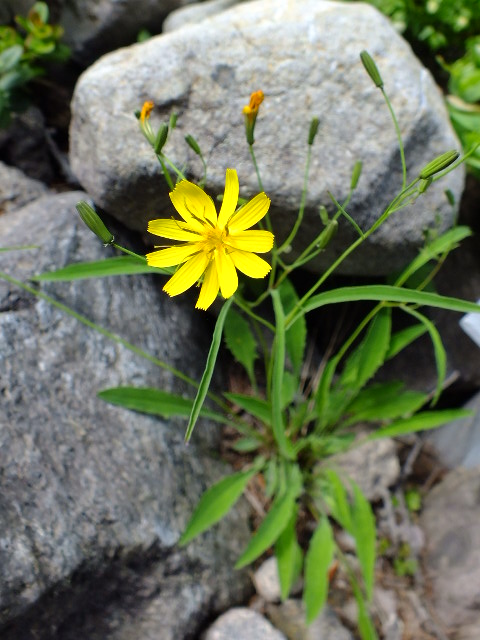 e0145782_1643437.jpg
