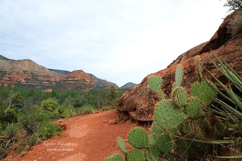 e0148185_7334759.jpg