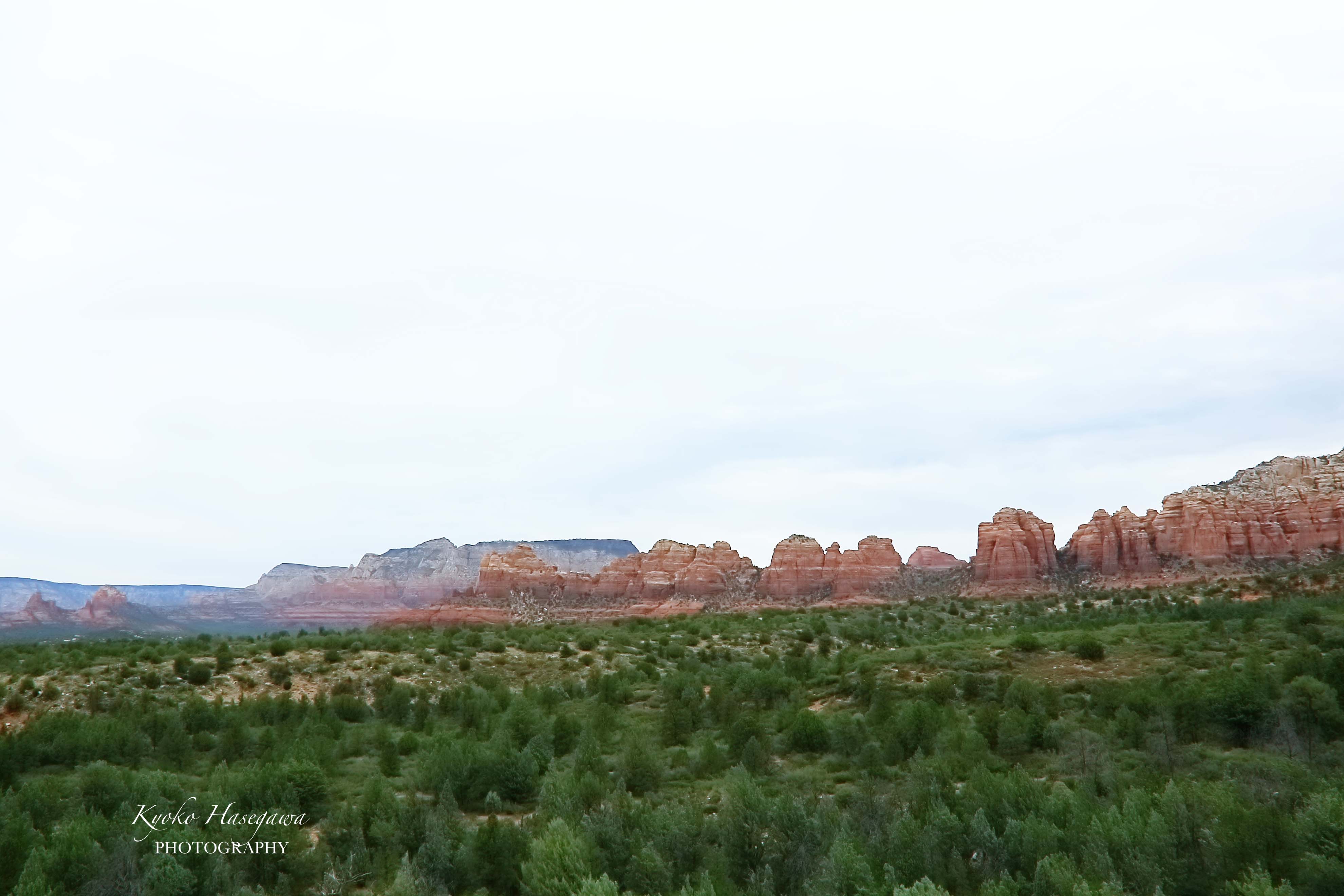 e0148185_7372619.jpg