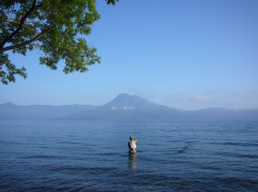 a0118989_2216059.jpg