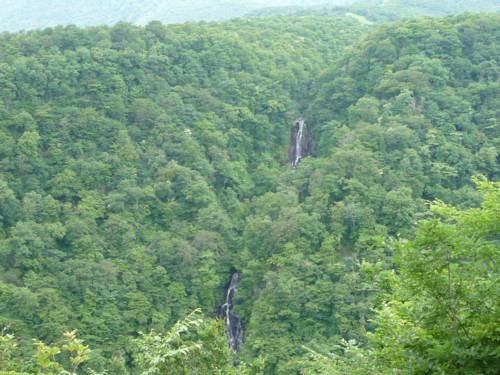 b0035391_14524668.jpg