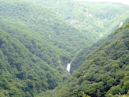 b0035391_14532377.jpg