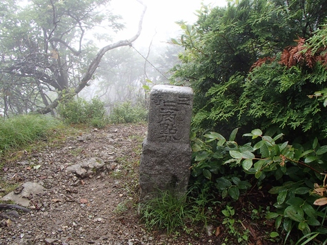 b0039898_21501233.jpg